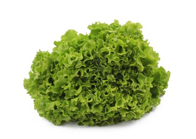 Салат романо 1 кг - купить в Тарасовской